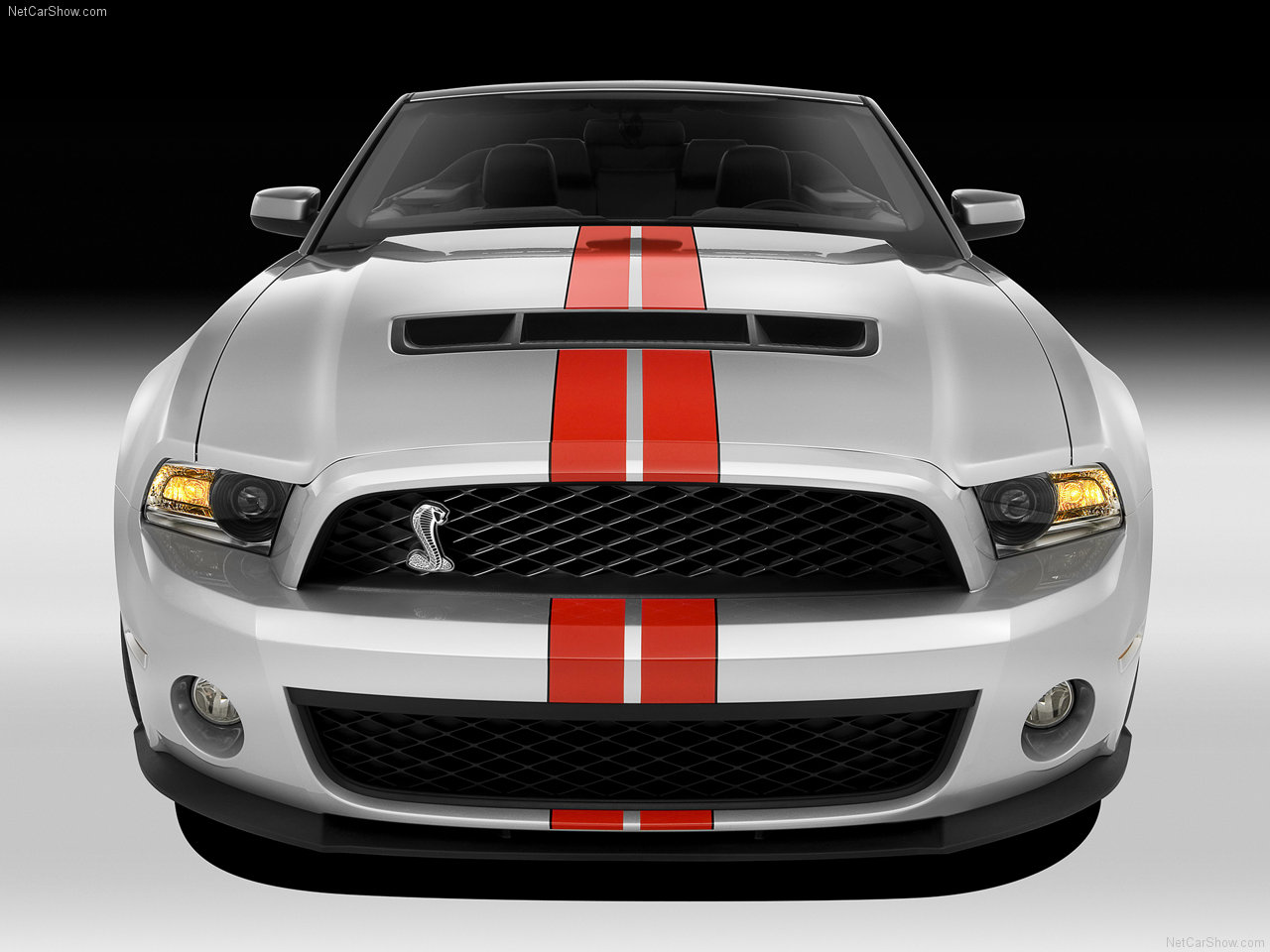 1265928794Ford-Mustang_Shelby_GT500_Convertible_2011_1280x960_wallpaper_06