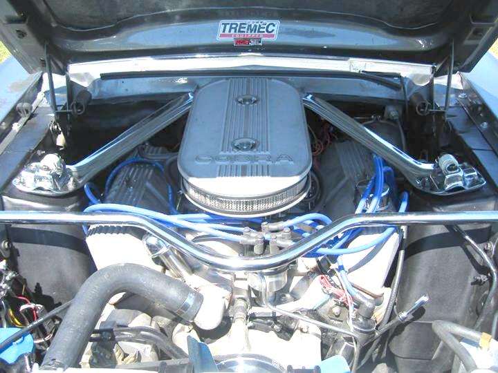 428-cobra