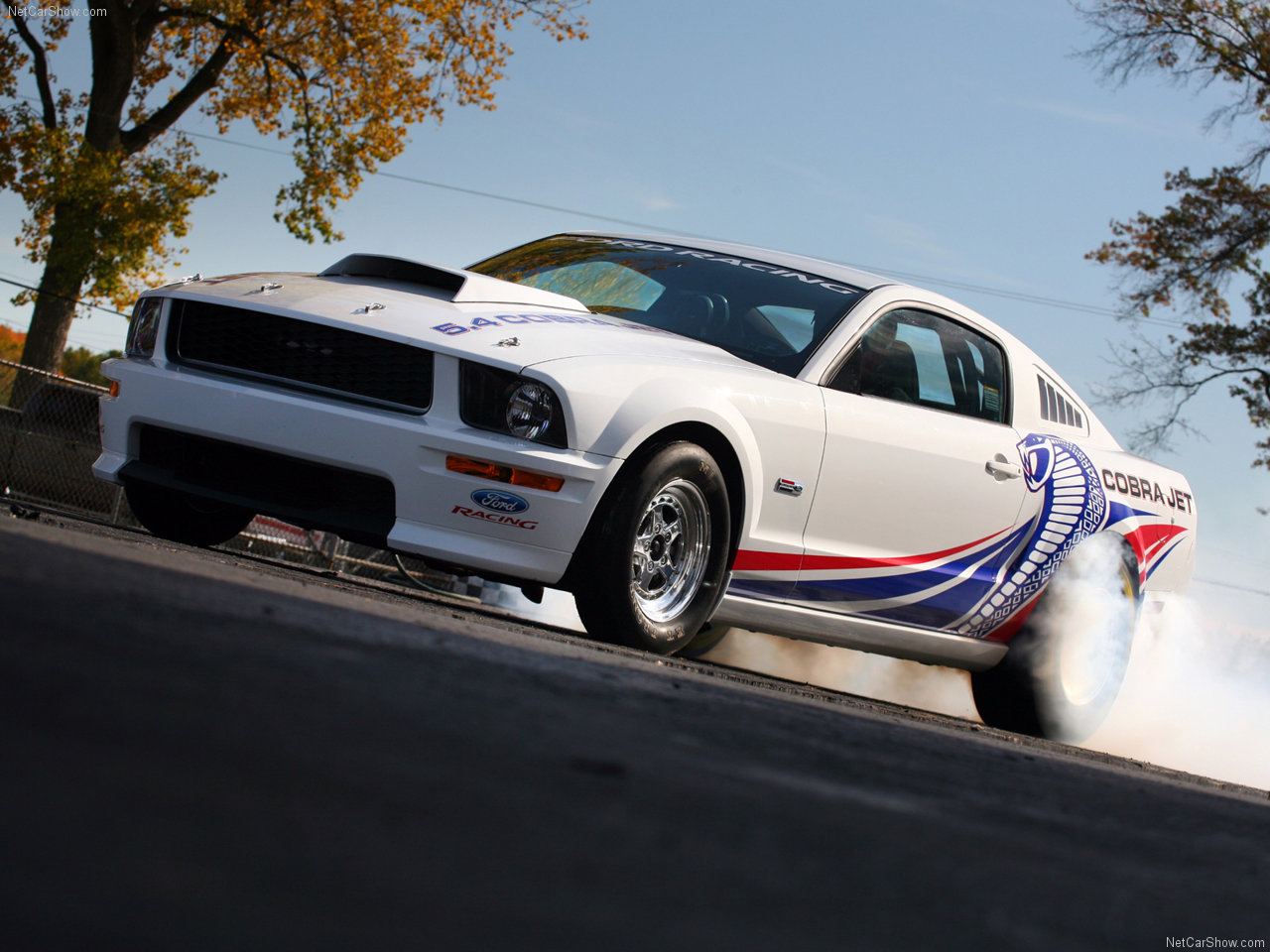 Ford-Mustang_FR500CJ_Cobra_Jet_2008_1280x960_wallpaper_01