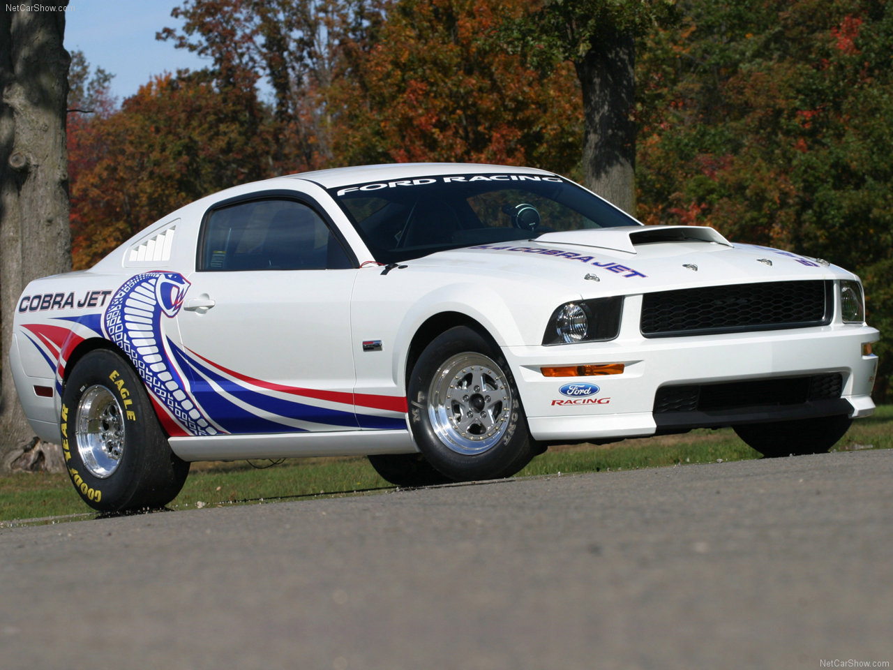Ford-Mustang_FR500CJ_Cobra_Jet_2008_1280x960_wallpaper_02