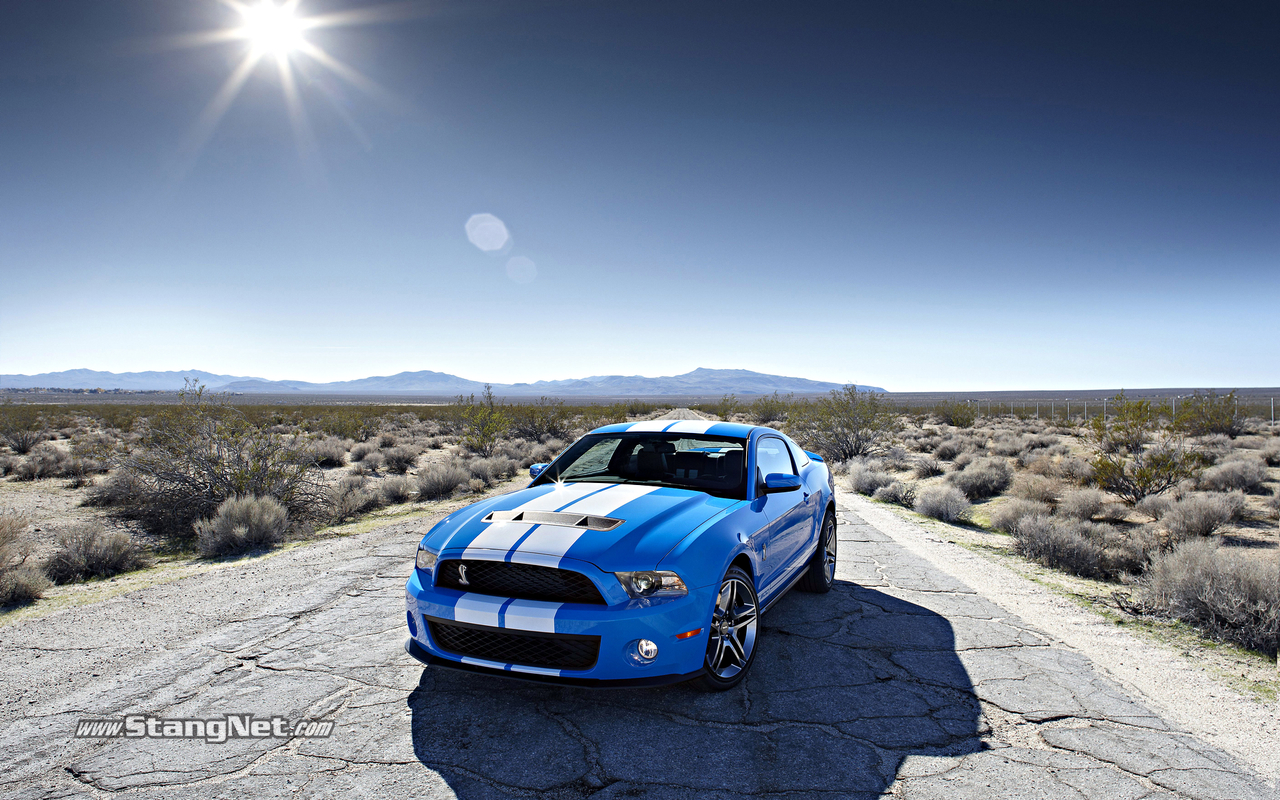 2010gt500wallpaper_3_1280